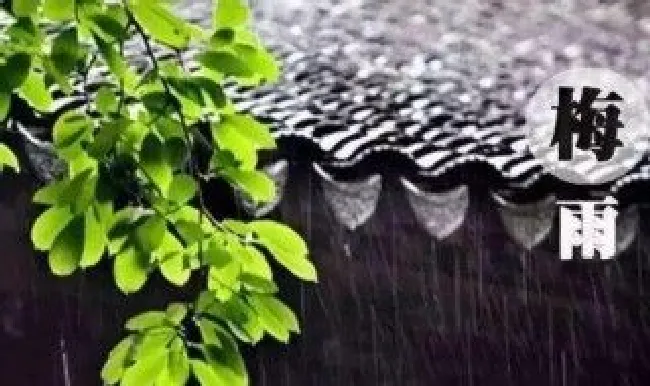 江苏梅雨季节是几月份（江苏梅雨季节是几月份到几月份结束）